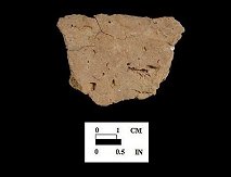 Mockley cord-marked body sherd interior surface from Nassawango site 18WO23/5H.